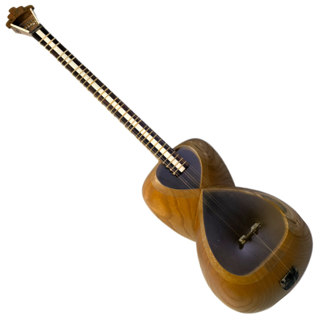 تار ایران ساز مدل زاگرس