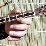 سه تار مدل ایران ساز کد tirvasiah | گارانتی اصالت و سلامت فیزیکی کالا