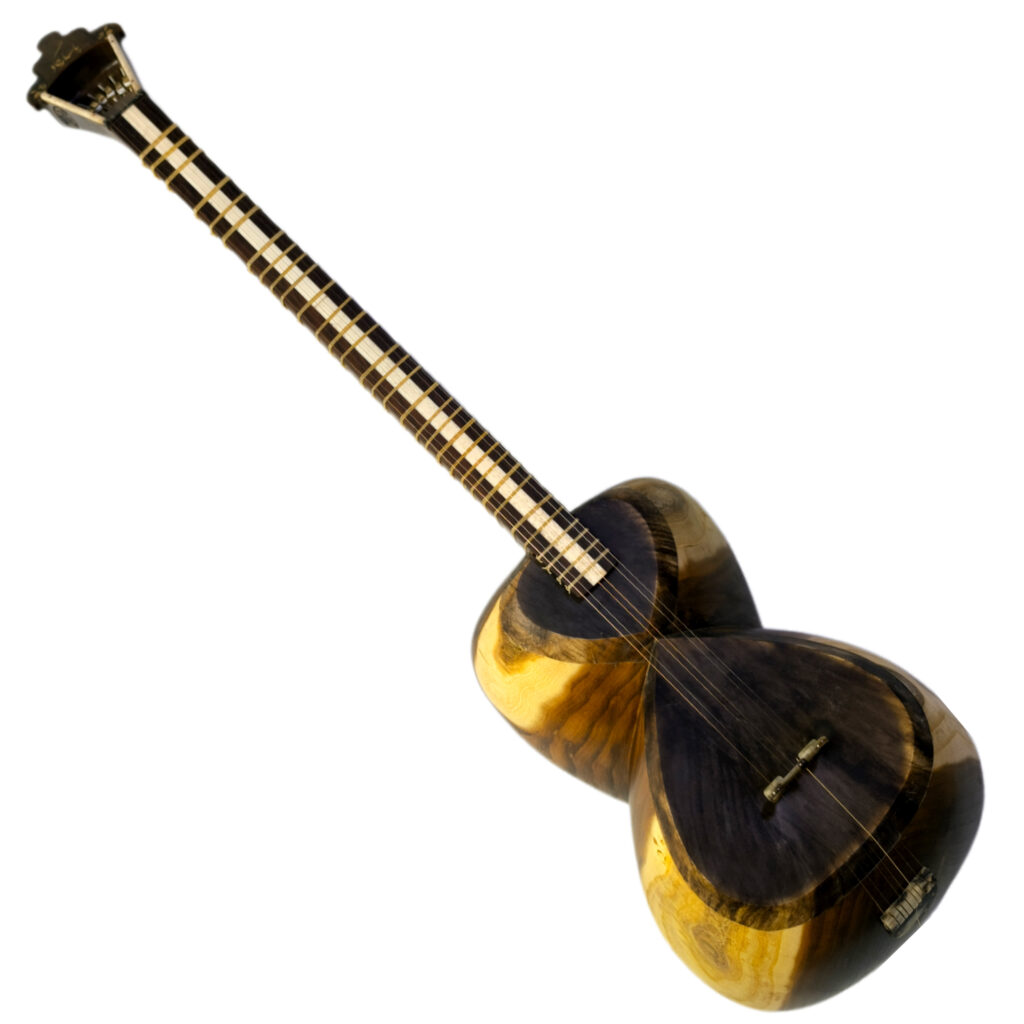 تار ایران ساز مدل پاسارگاد | گارانتی اصالت و سلامت فیزیکی کالا